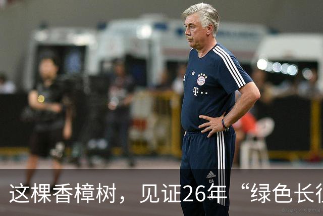 这棵香樟树，见证26年“绿色长征”